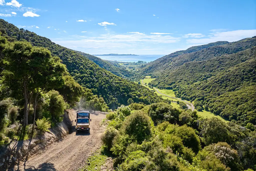 Ziplining & Native Forest Trail | Kaikoura