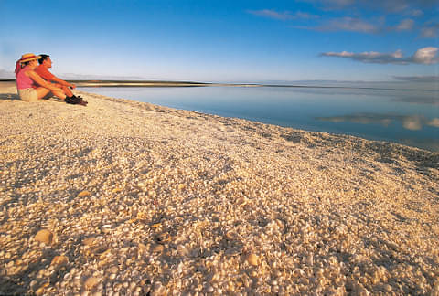 Shell Beach, south east of Denham, Shark Bay, Tourism WA, 104486-2.jpg