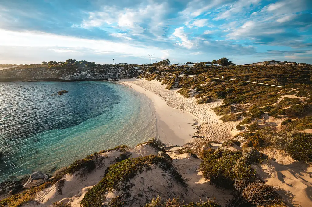 Rottnest Island Tour & Ferry Transfer Grand Package