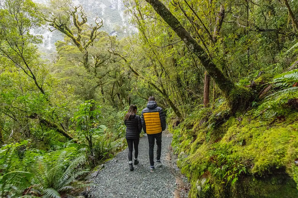 Milford Sound Experience Small Group Tour