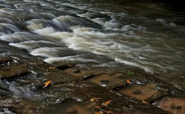Phnom Kulen Half Day Tour