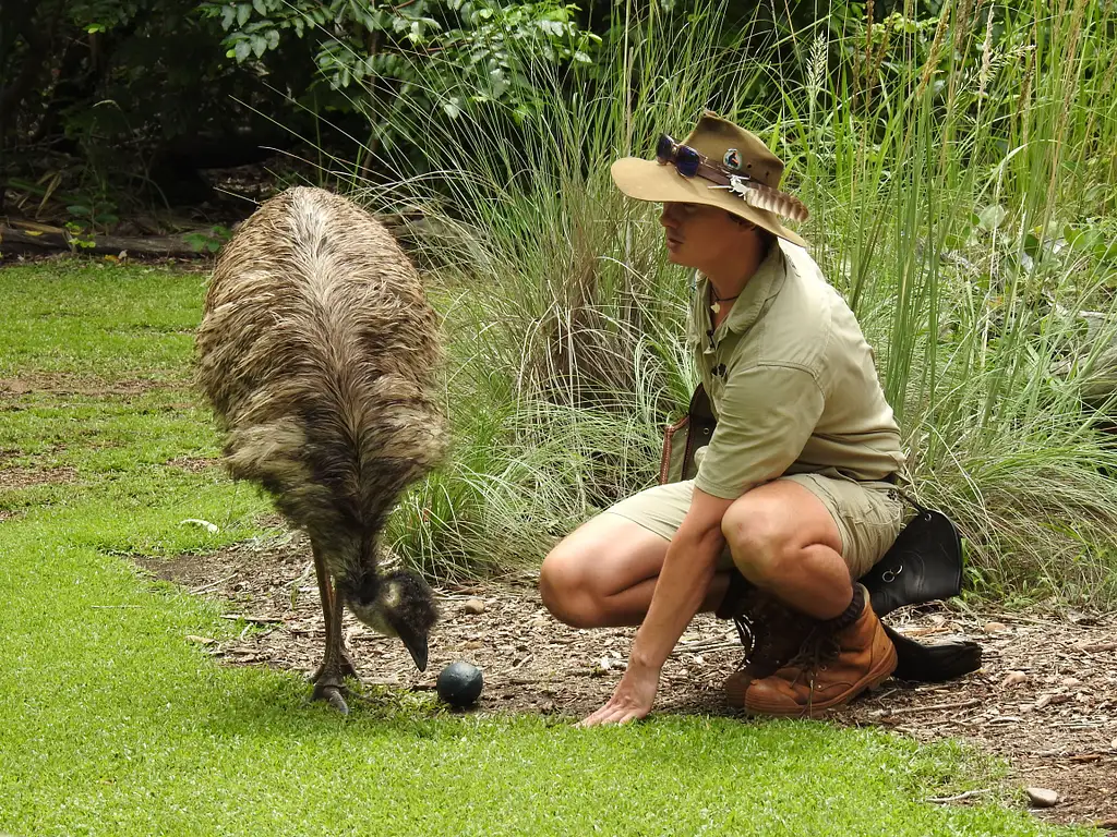 Territory Wildlife Park Entry & Day Tour | Lunch Included