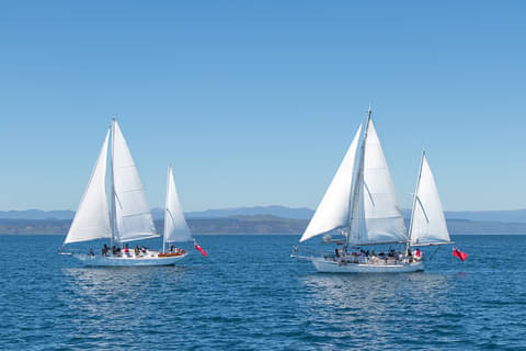 Sail Barbary discounts