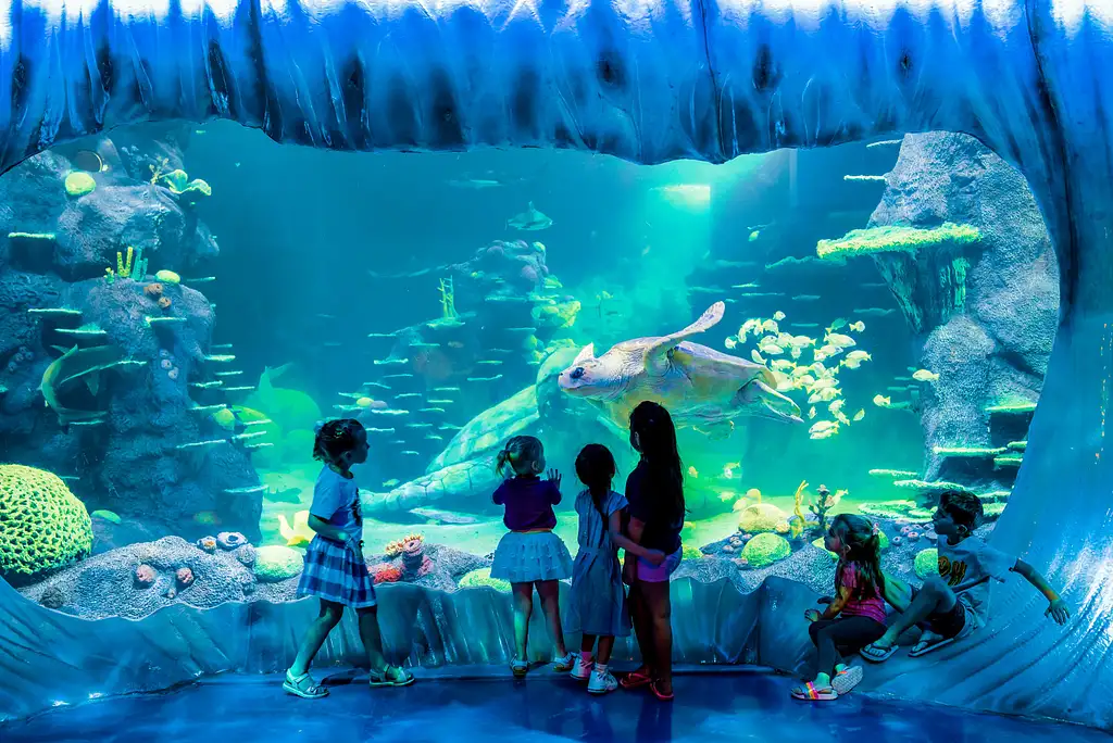 Go City Sydney Explorer Attraction Pass
