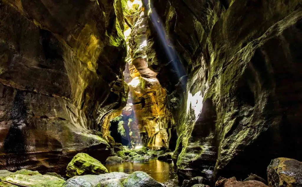 Serendipity Canyon | Blue Mountains Abseiling Tour