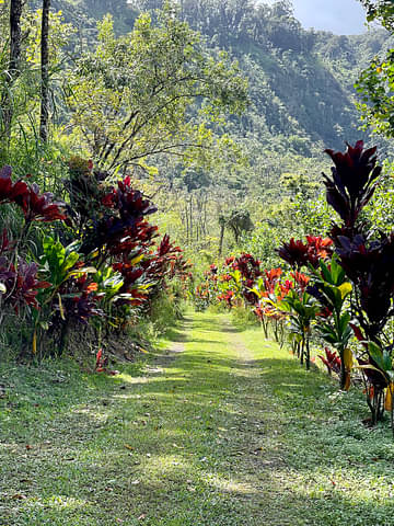 Lahaina and West Maui Mountains private tour