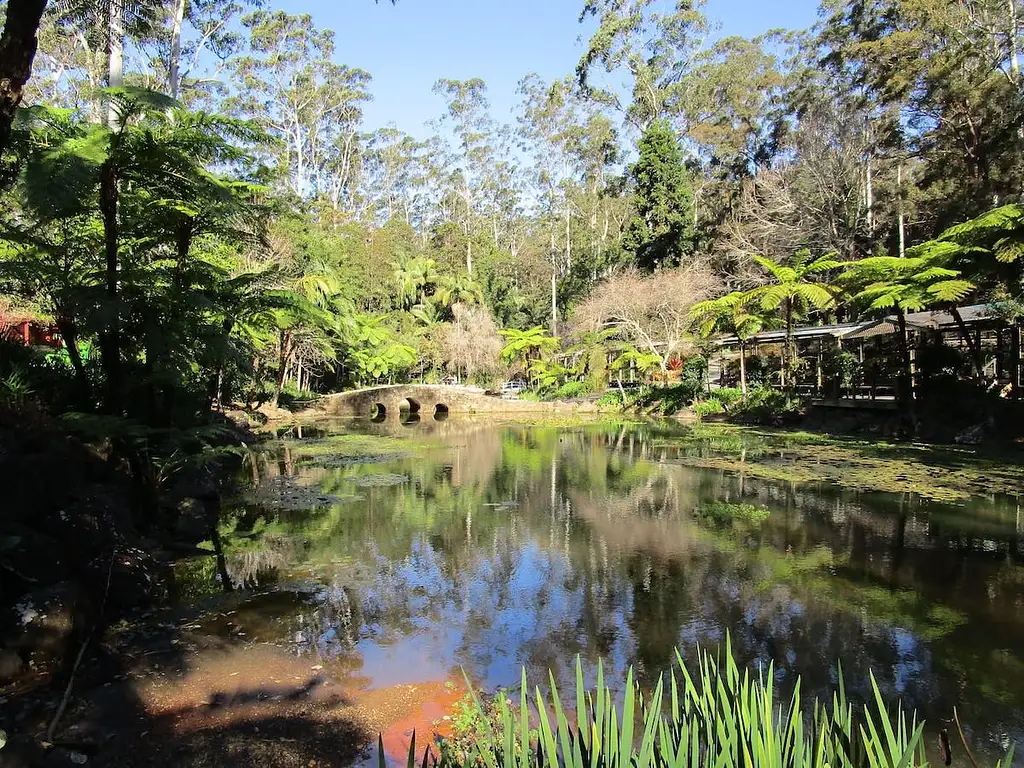 Mt Tamborine Hop on Hop Off Bus | From Brisbane or Gold Coast