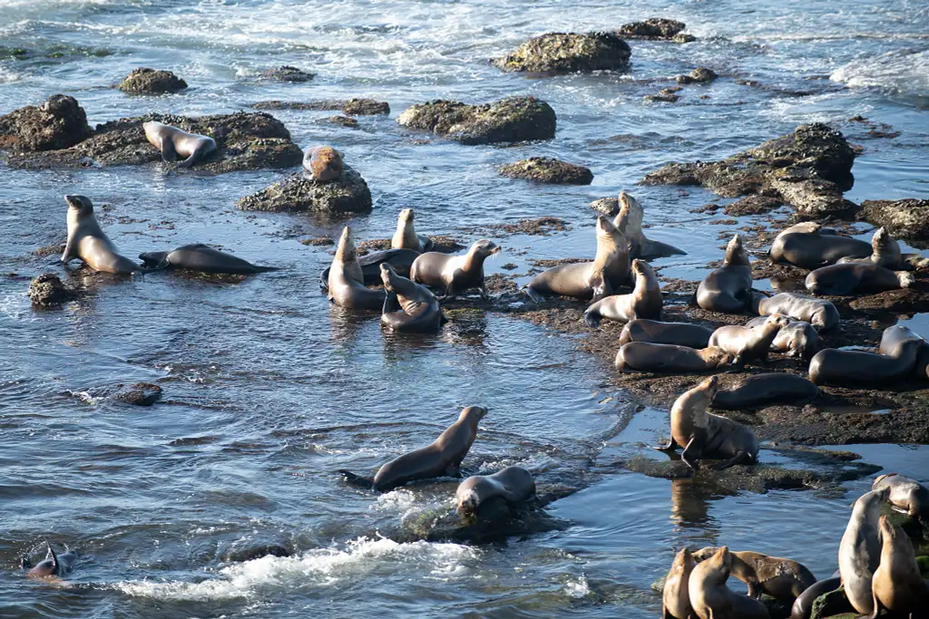 Kaikoura Day Trip From Christchurch with Whale Watch