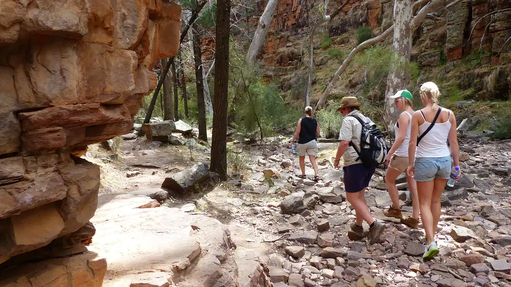 7D Darwin Rock to Top Adventure ex Alice Springs