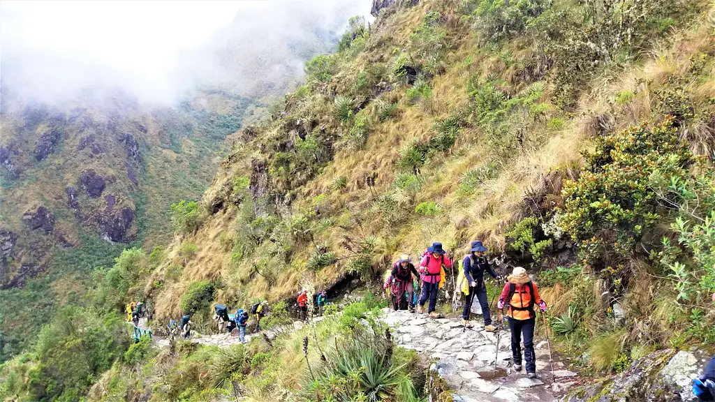 Inca Trail Tour Machu Picchu - 4 Days 3 Nights