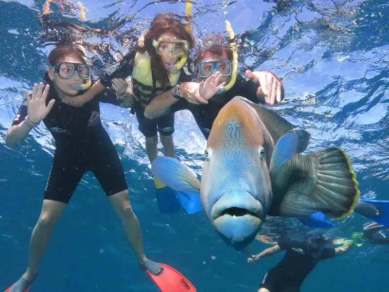 Green Island Eco Tour with Seawalker options