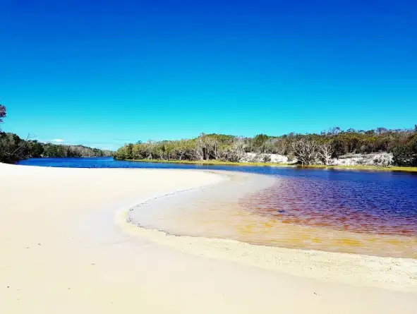 Bribie Island 4WD, Kayak, Beach & Bunker Half Day Tour | Bribie Island
