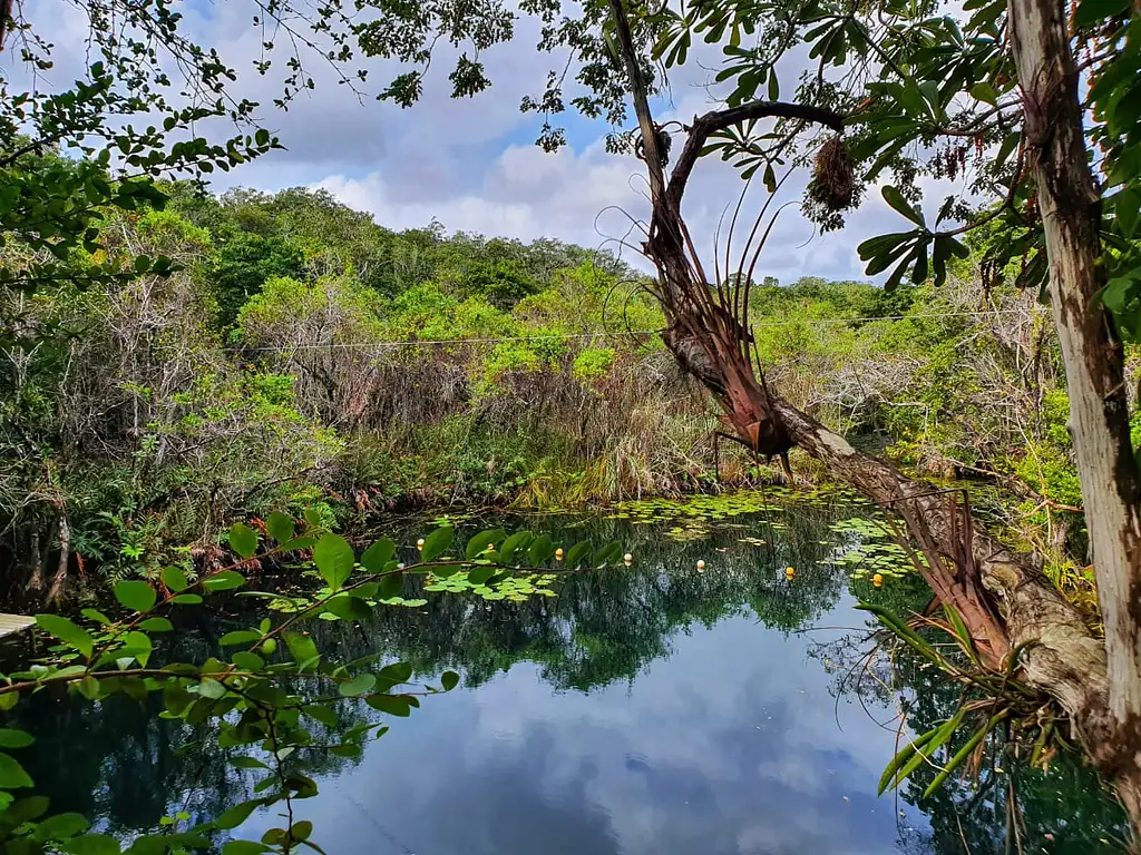 Tulum Jungle Adventure