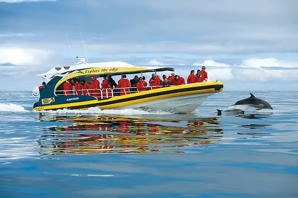 Bruny Island Cruises Full-Day Tour from Hobart
