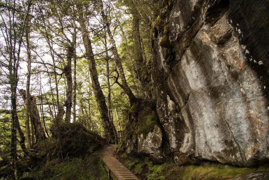 Kepler Track Luxmore Guided Day Heli Hike | From Te Anau