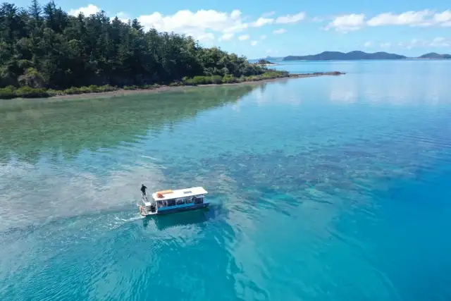 Glass Bottom Boat Tour | From Shute Harbour