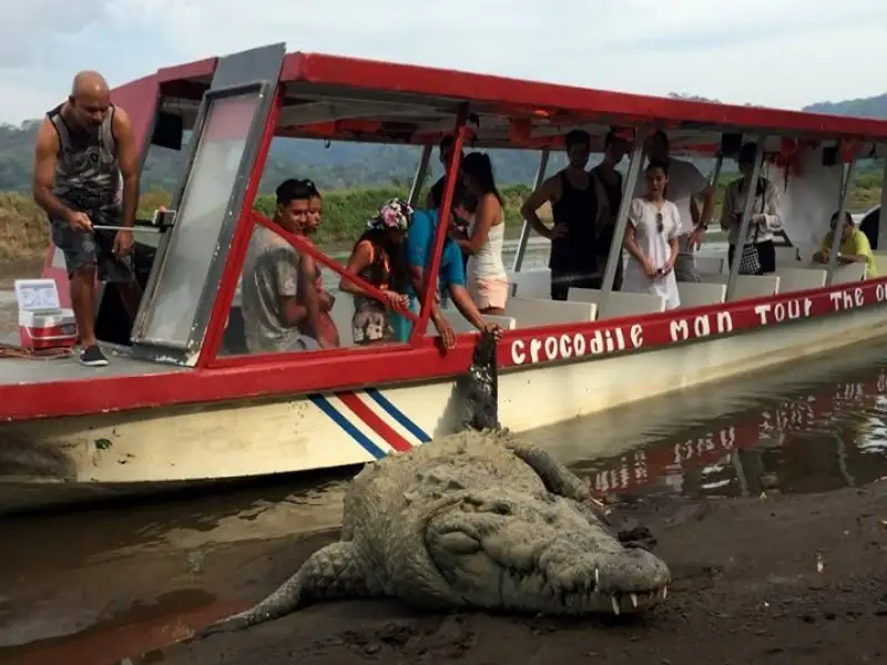 Tarcoles River Crocodile Safari from Jacó