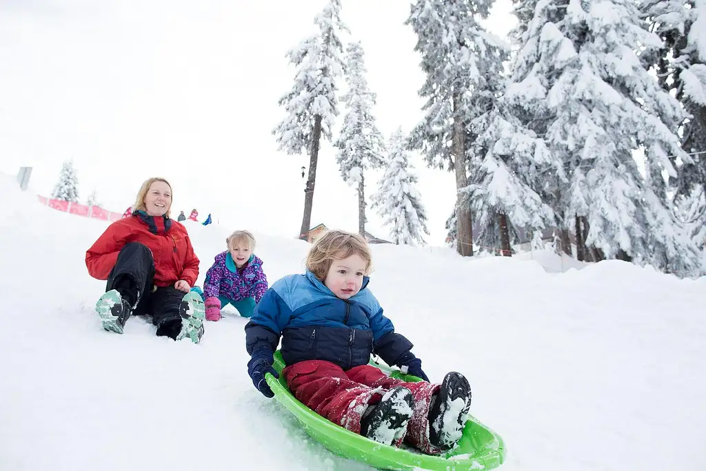 Grouse Mountain Admission Ticket