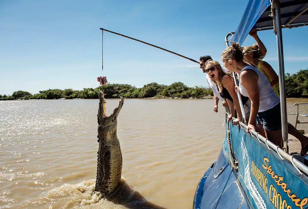 Spectacular Jumping Crocodile River Cruise & Berry Springs Nature Park, Freshwater Swimming Hole | Darwin