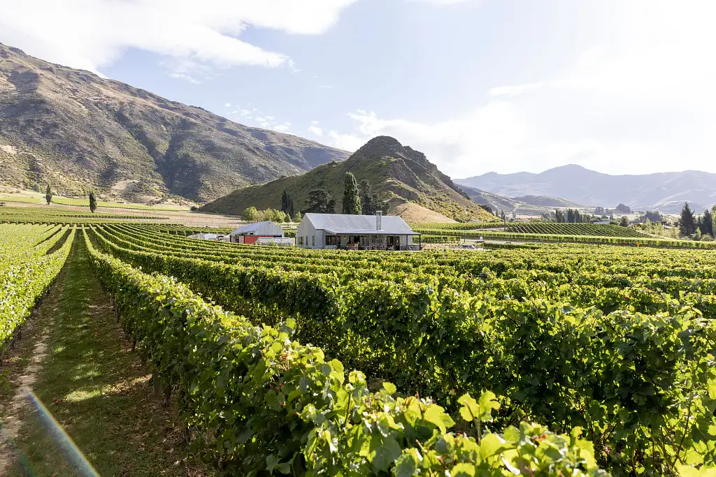 Queenstown Helicopter Wine Sampler