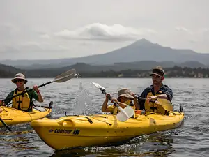 Huon Valley Kayaking and Tahune AirWalk