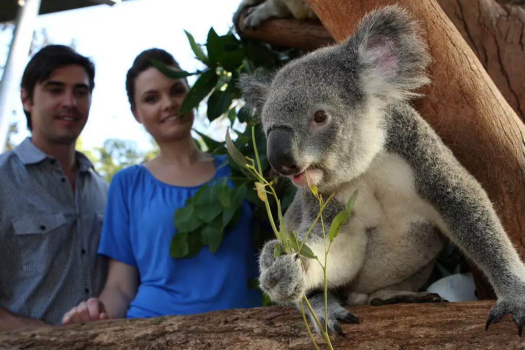 Go City Sydney Explorer Attraction Pass