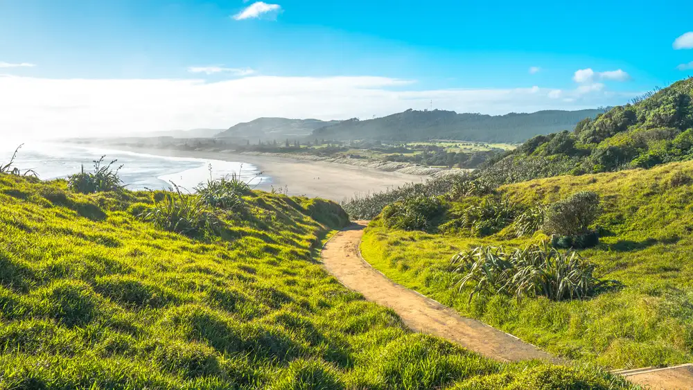Muriwai Beach & Gannet Eco Tour | Private Tour