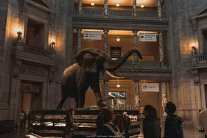 Private Smithsonian Museums Tour: American & Natural History Experience