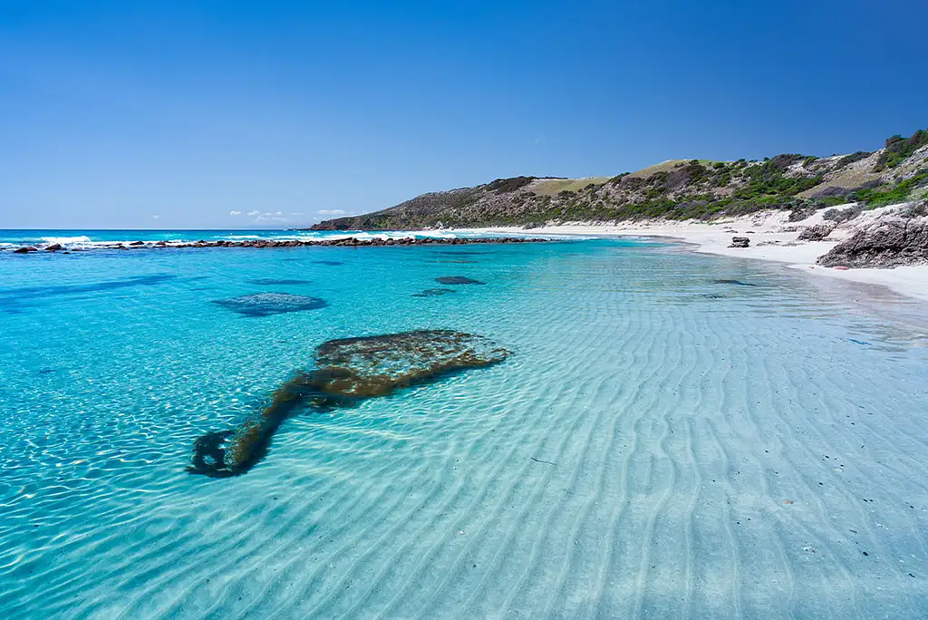 5 Day Kangaroo Island Adventure | Intrepid Tour