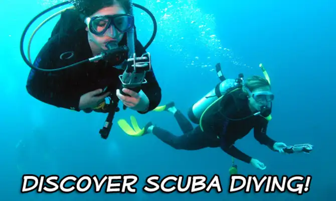 South Solitary Islands - Discover Scuba Diving Experience