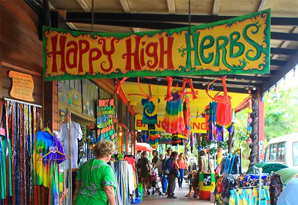 Nimbin Waterfall Adventure Byron Bay - 1 Day
