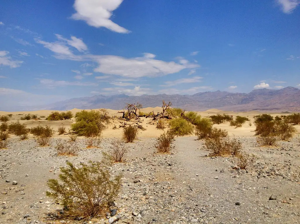 Wild West Ghost Town Explorer Day Tour from Las Vegas