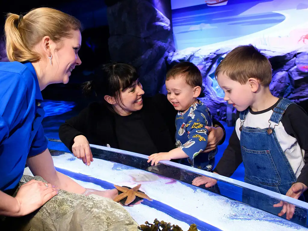 Sea Life London Aquarium | Standard Entry (Off Peak)