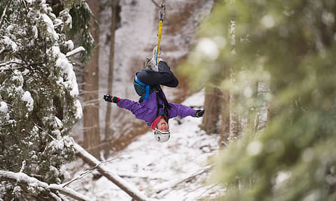 Queenstown Zipline Reviews