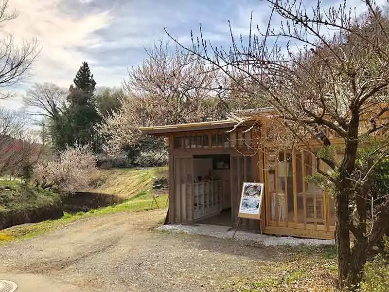 Learn Washi Art and Japanese Paper Making
