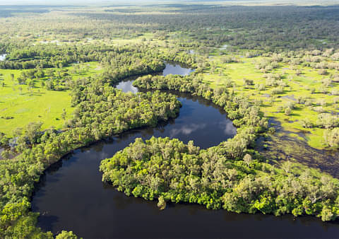 Kakadu Flight from Darwin