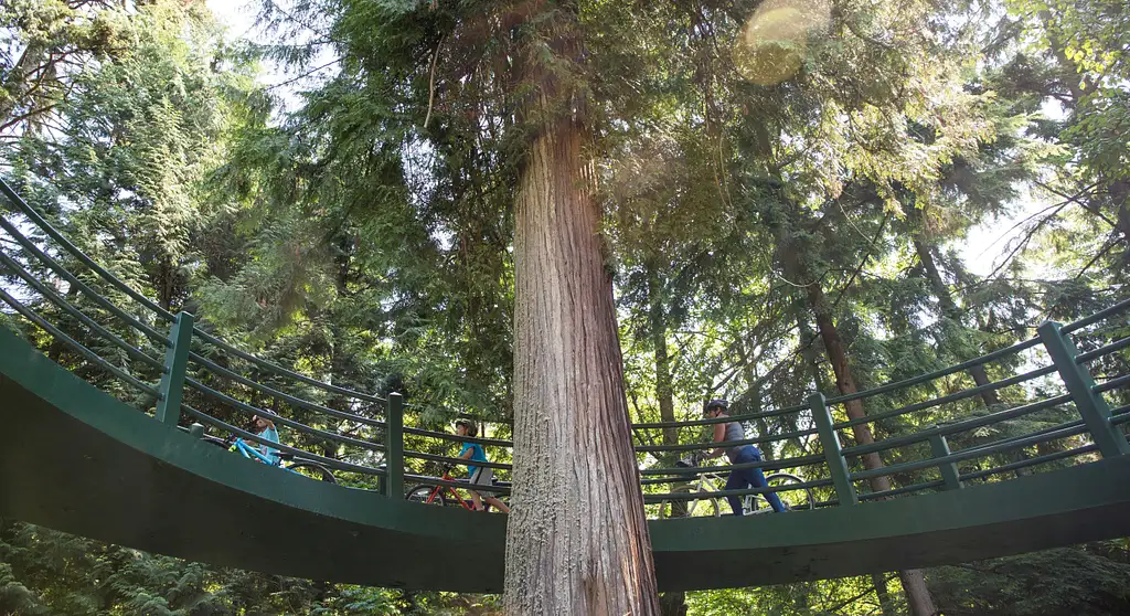 Vancouver Grand Cycling Tour