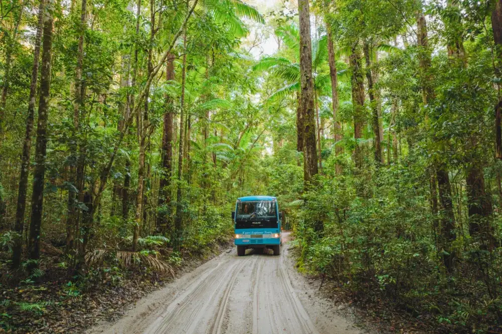 5 Day K'gari (Fraser Island) Ultimate Tour from Hervey Bay | Resort Accommodation