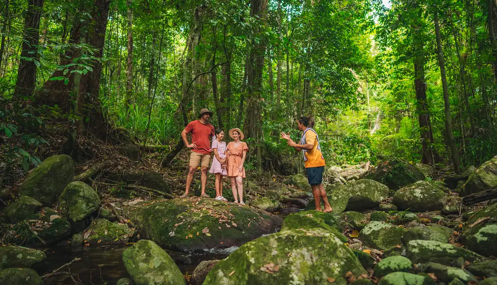 Full Day Or Half Day Daintree Rainforest Guided Tour - Ngana Julaymba Dungay