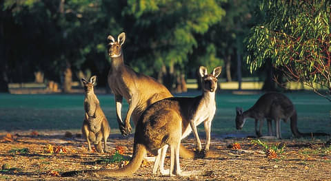 Multi-day tours from margaret river