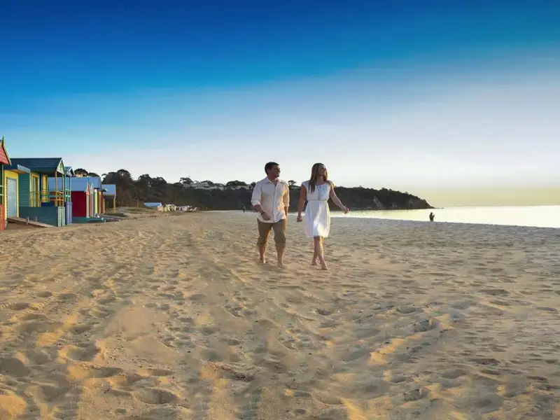 1D Mornington & Bellarine Peninsula Around the Bay Food & Wine Taste Trail