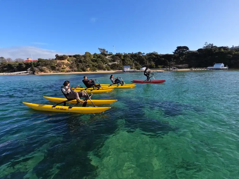 Sorrento Waterbike Tour | Sorrento to Portsea Return