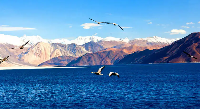 Beautiful Ladakh