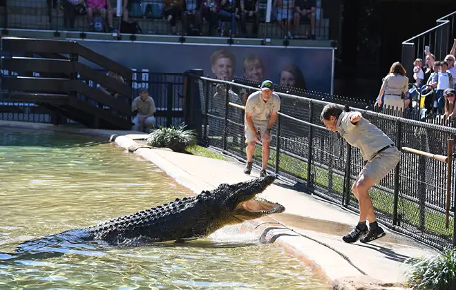 AUSTRALIA ZOO Transfer including Entry Ticket | Sunshine Coast