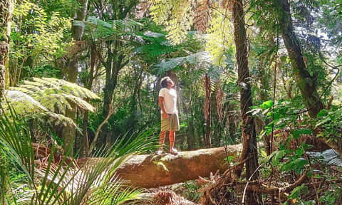 Best 20 Day New Zealand Explorer
