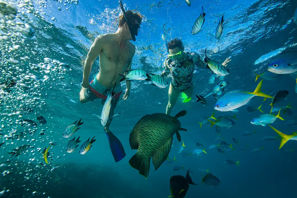 Whitehaven + Snorkelling on Lady Enid | from Airlie Beach