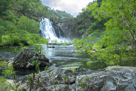 Cooktown and Daintree Tour Discount