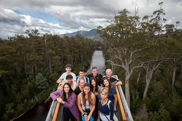 Tahune Airwalk & Hastings Cave Tour