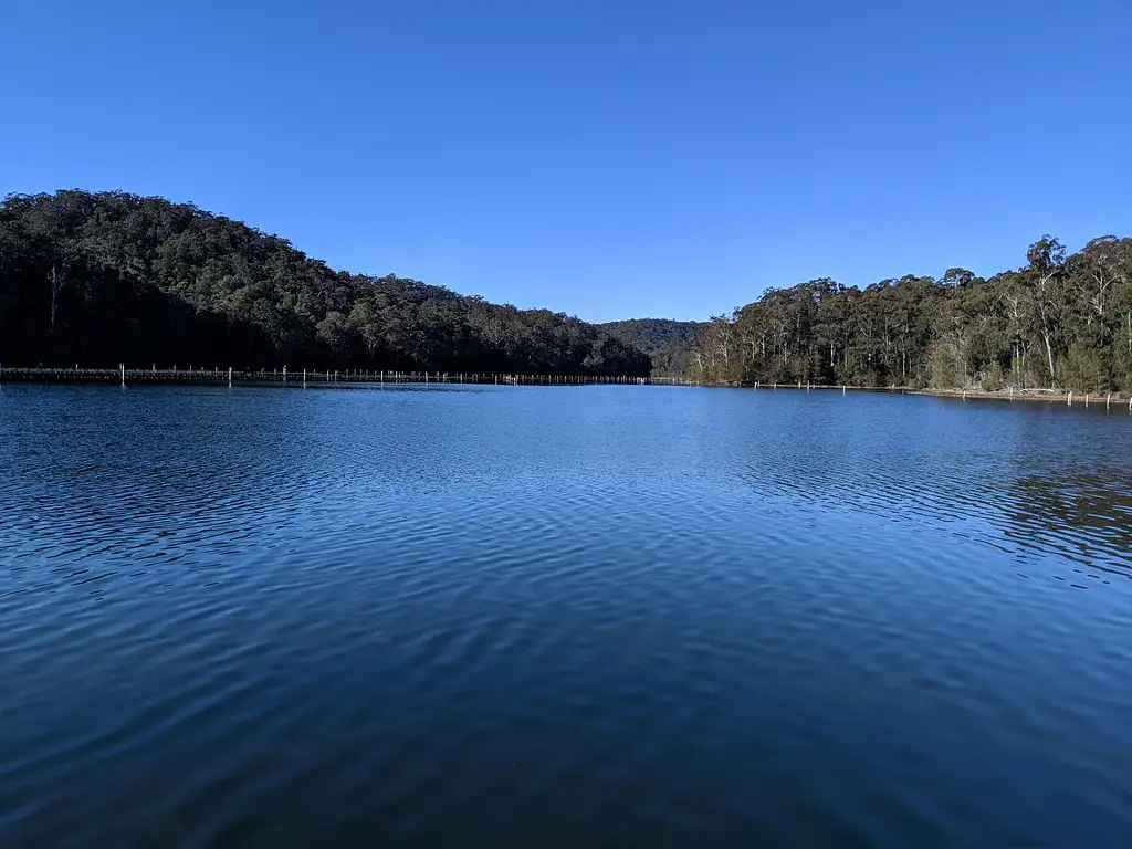 Self-Guided E-Bike Tour - Wagonga Wilderness Loop