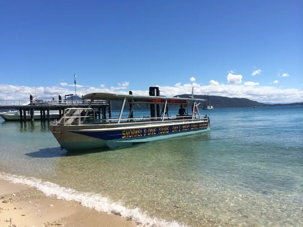 Fitzroy Island Day Trip